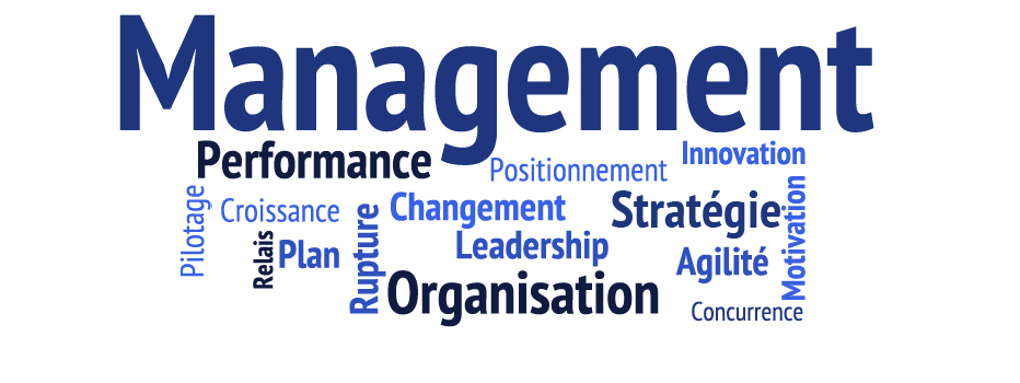 Nuage De Mot Sur Le Management