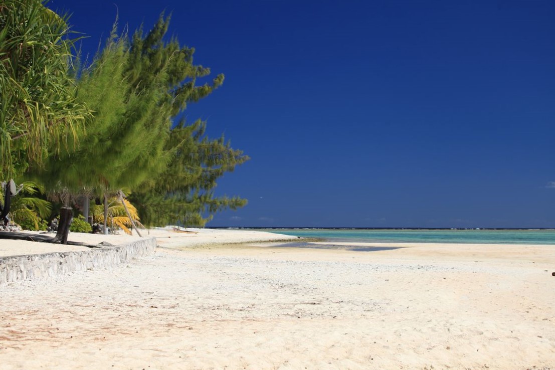 Se Former à La Plage (baouh Tcha Tcha Tcha)